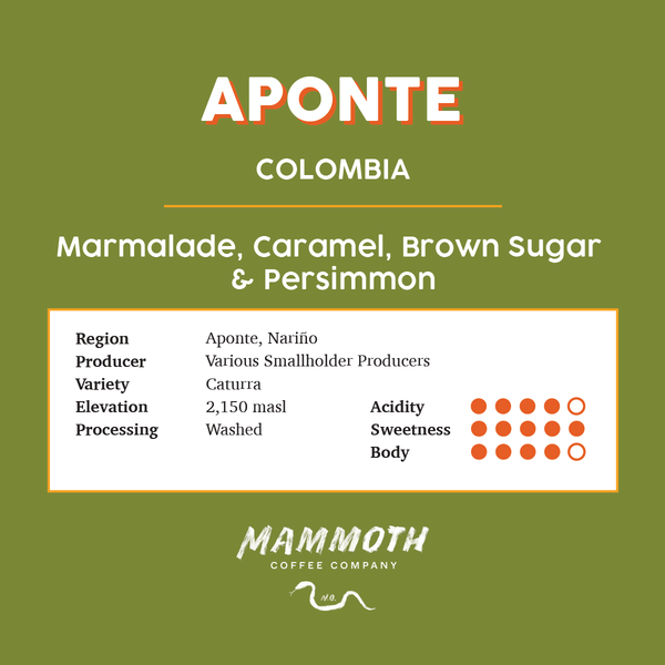 Aponte (Colombia)