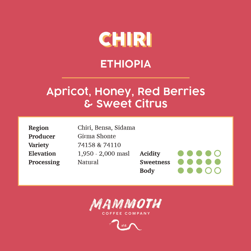 Chiri (Ethiopia)