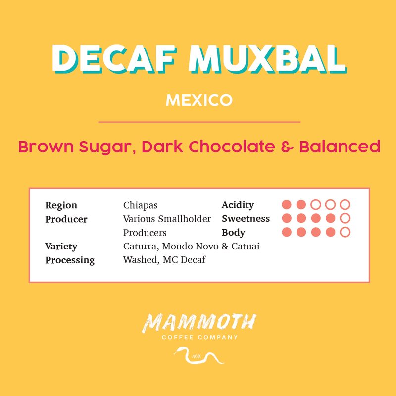 Decaf Muxbal (Mexico)