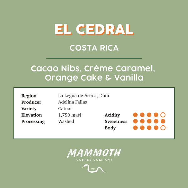 El Cedral (Costa Rica)