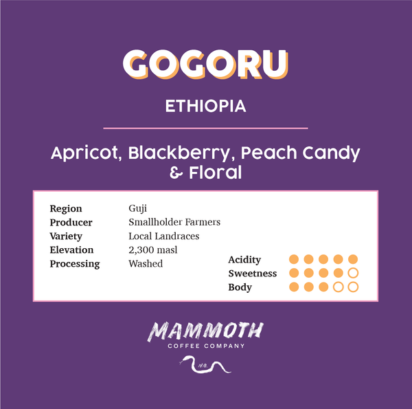 Gogoru (Ethiopia)