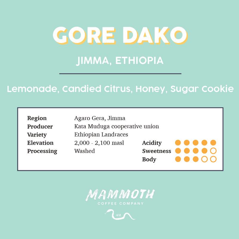 Gore Dako (Ethiopia)