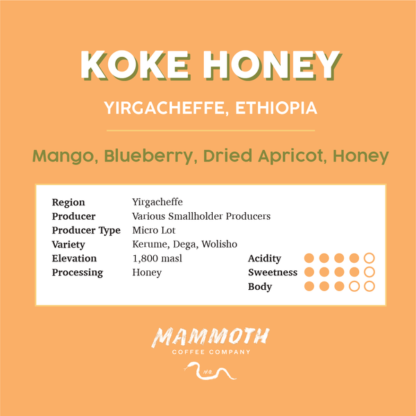 Koke Honey (Ethiopia)