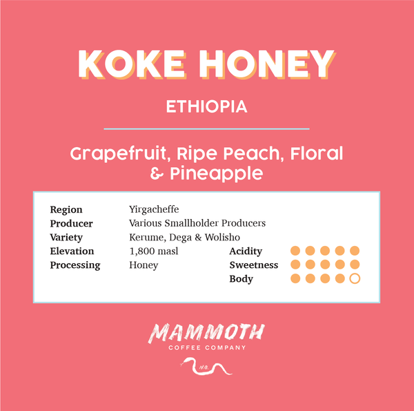 Koke Honey (Ethiopia)