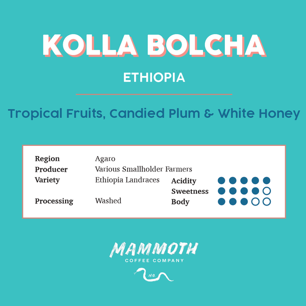 Kolla Bolcha (Ethiopia)