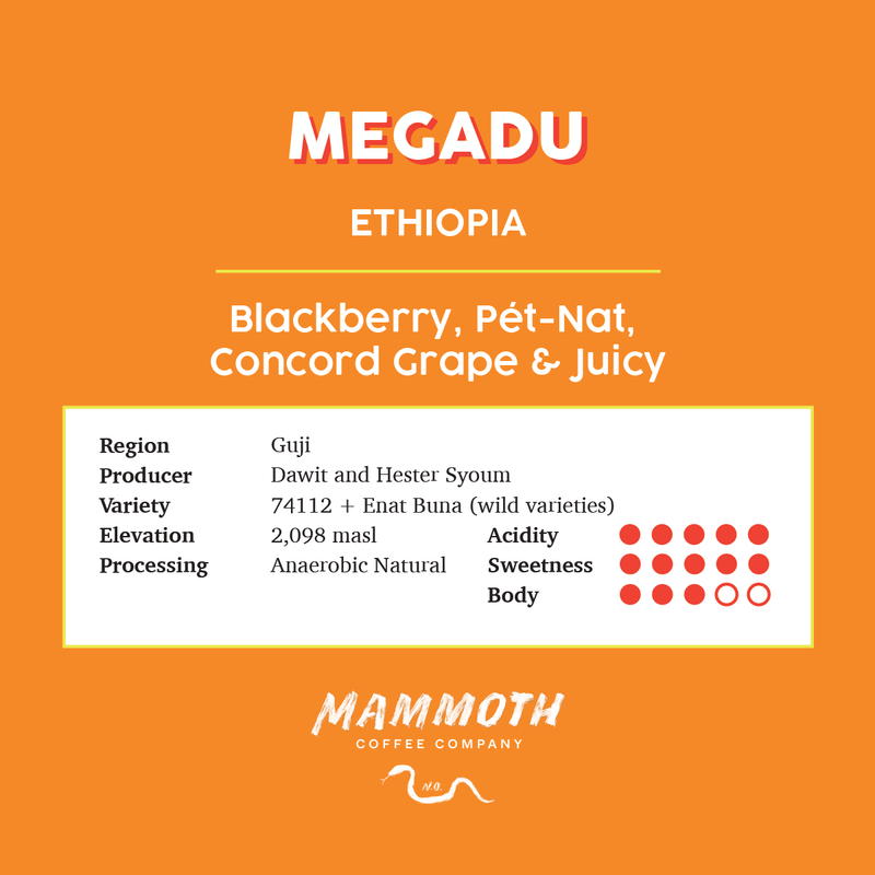 Megadu (Ethiopia)