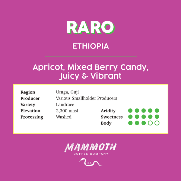 Raro (Ethiopia)