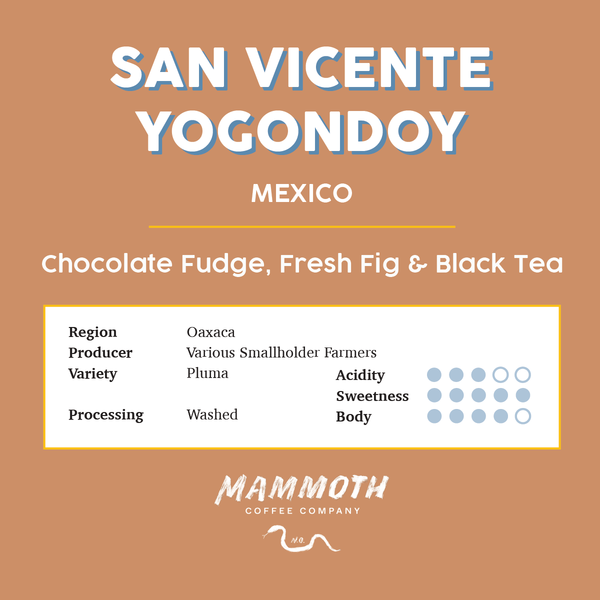 San Vicente Yogondoy (Mexico)